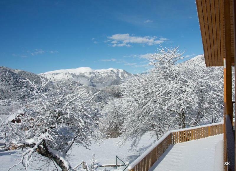 Les Chalets Fleurs De France - Kota Saint-Dalmas Eksteriør billede